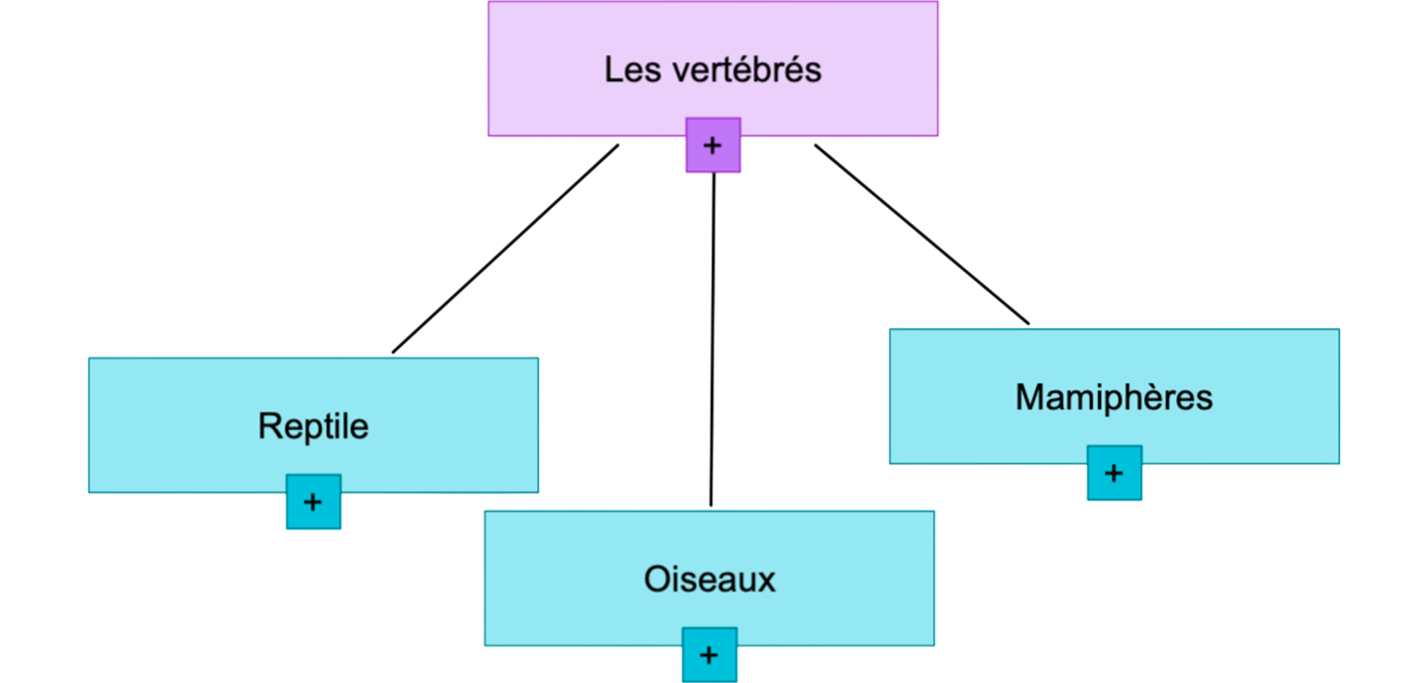 Schématisation conceptuelle